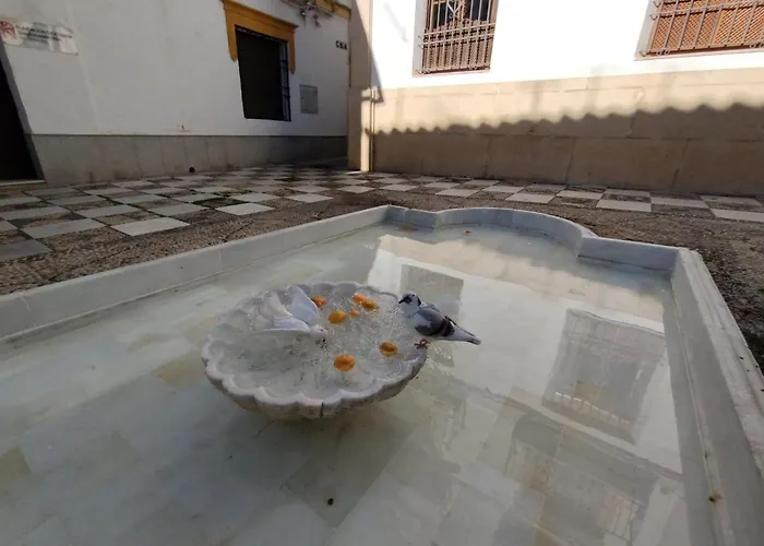 アパート Guimar Momentos, Vivelos En *