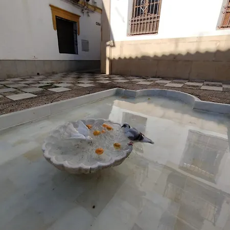 Apartmán Guimar Momentos, Vivelos En *